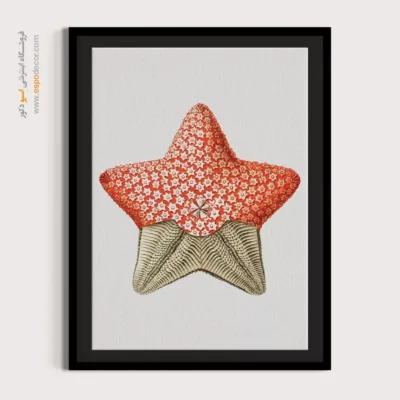 تابلو جانوران دریایی - اسپو دکور