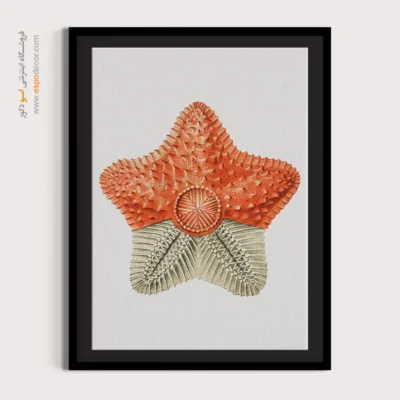 تابلو جانوران دریایی - اسپو دکور