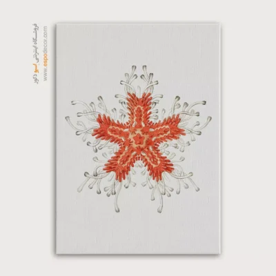 تابلو جانوران دریایی - اسپو دکور