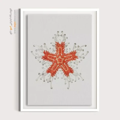 تابلو جانوران دریایی - اسپو دکور