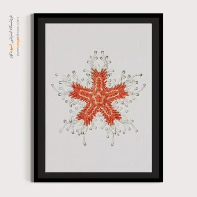 تابلو جانوران دریایی - اسپو دکور