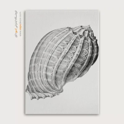 تابلو جانوران دریایی - اسپو دکور