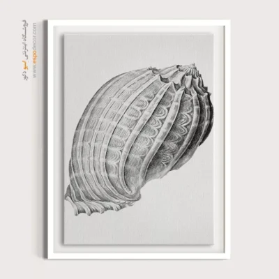 تابلو جانوران دریایی - اسپو دکور