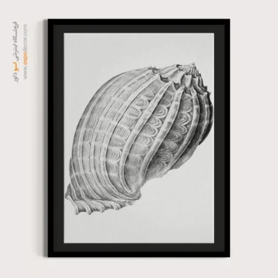 تابلو جانوران دریایی - اسپو دکور