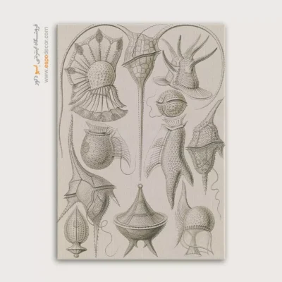 تابلو جانوران دریایی - اسپو دکور