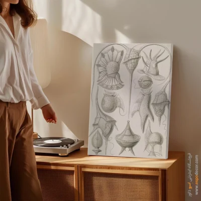 تابلو جانوران دریایی - اسپو دکور