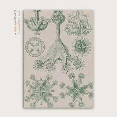 تابلو جانوران دریایی - اسپو دکور