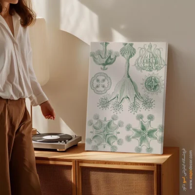 تابلو جانوران دریایی - اسپو دکور