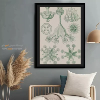 تابلو جانوران دریایی - اسپو دکور