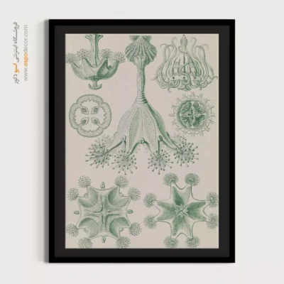 تابلو جانوران دریایی - اسپو دکور