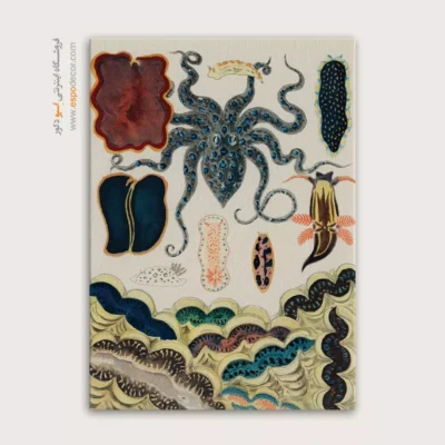 تابلو جانوران دریایی - اسپو دکور