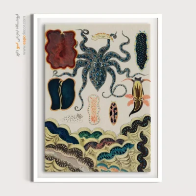 تابلو جانوران دریایی - اسپو دکور