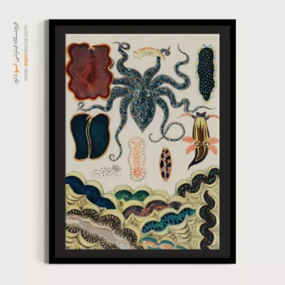 تابلو جانوران دریایی - اسپو دکور