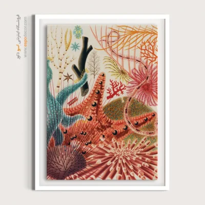 تابلو جانوران دریایی - اسپو دکور