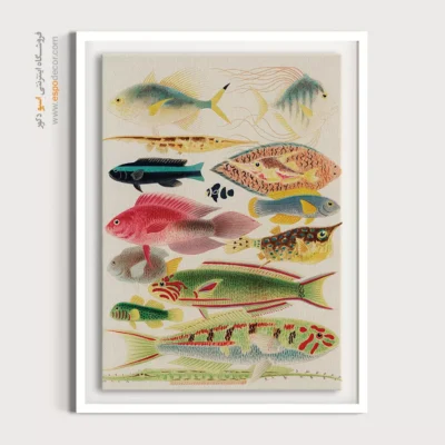 تابلو جانوران دریایی - اسپو دکور