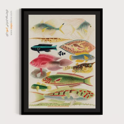 تابلو جانوران دریایی - اسپو دکور