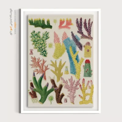 تابلو جانوران دریایی - اسپو دکور