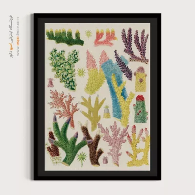 تابلو جانوران دریایی - اسپو دکور