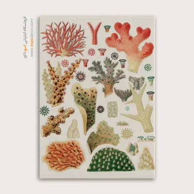 تابلو جانوران دریایی - اسپو دکور