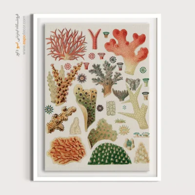 تابلو جانوران دریایی - اسپو دکور