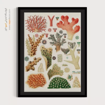 تابلو جانوران دریایی - اسپو دکور