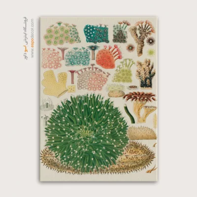 تابلو جانوران دریایی - اسپو دکور