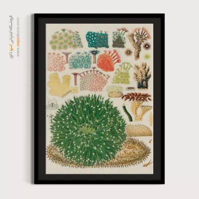 تابلو جانوران دریایی - اسپو دکور