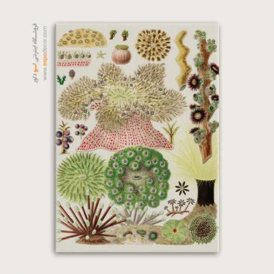 تابلو جانوران دریایی - اسپو دکور