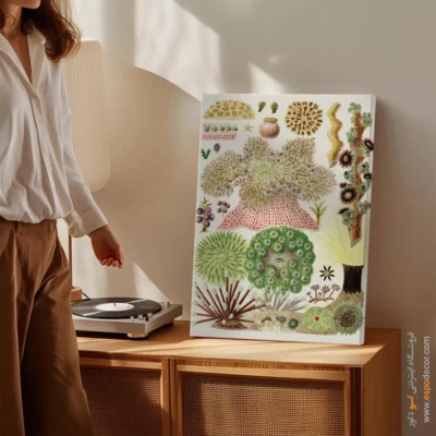 تابلو جانوران دریایی - اسپو دکور