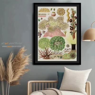 تابلو جانوران دریایی - اسپو دکور