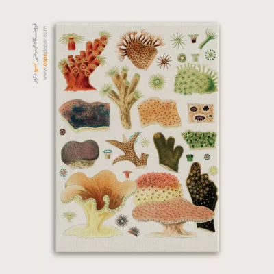 تابلو جانوران دریایی - اسپو دکور