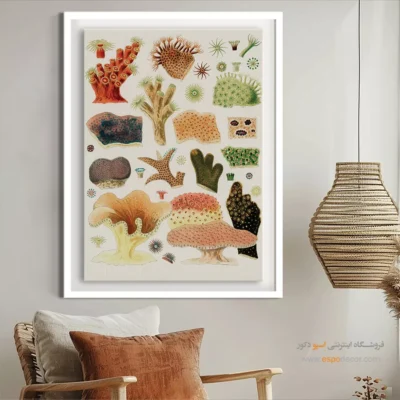 تابلو جانوران دریایی - اسپو دکور