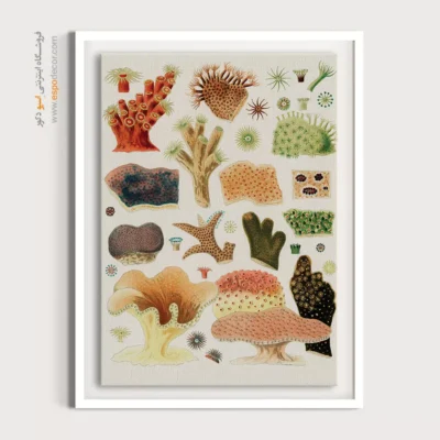 تابلو جانوران دریایی - اسپو دکور