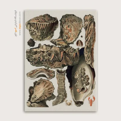 تابلو جانوران دریایی - اسپو دکور