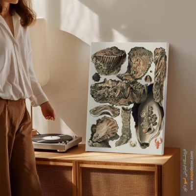 تابلو جانوران دریایی - اسپو دکور