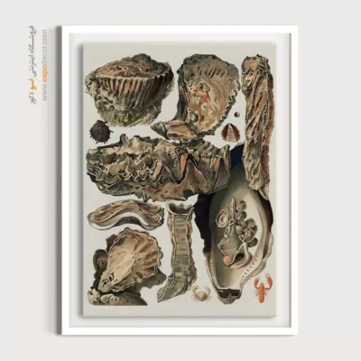 تابلو جانوران دریایی - اسپو دکور