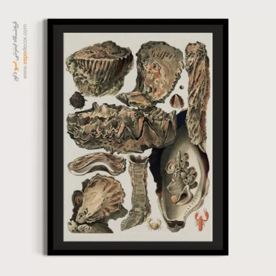 تابلو جانوران دریایی - اسپو دکور