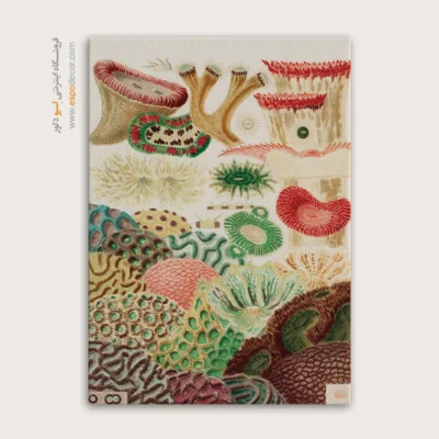 تابلو جانوران دریایی - اسپو دکور