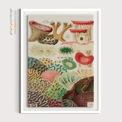 تابلو جانوران دریایی - اسپو دکور