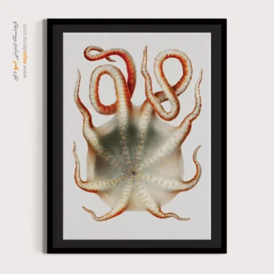 تابلو جانوران دریایی - اسپو دکور