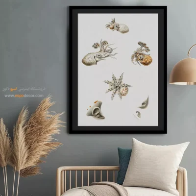 تابلو جانوران دریایی - اسپو دکور