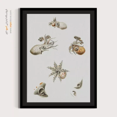 تابلو جانوران دریایی - اسپو دکور