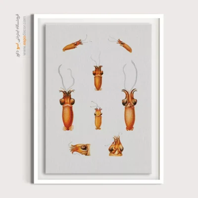 تابلو جانوران دریایی - اسپو دکور