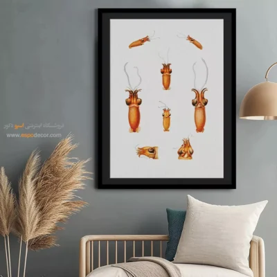 تابلو جانوران دریایی - اسپو دکور