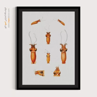 تابلو جانوران دریایی - اسپو دکور