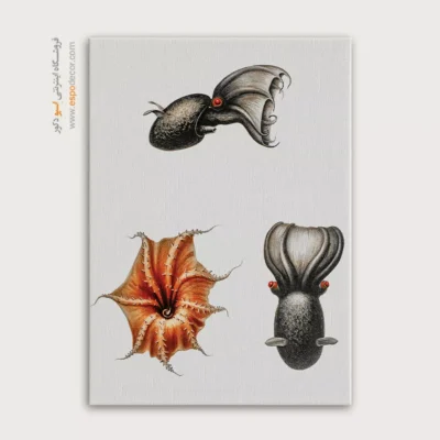 تابلو جانوران دریایی - اسپو دکور