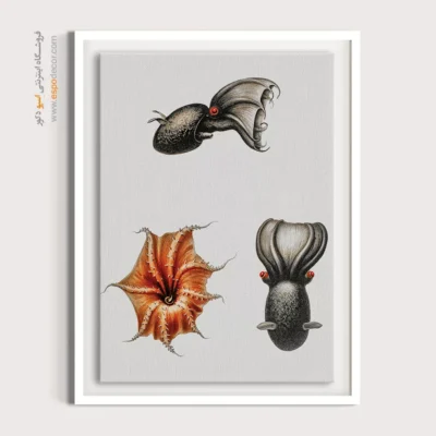 تابلو جانوران دریایی - اسپو دکور