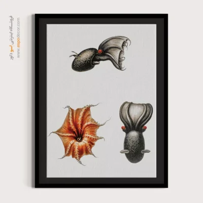 تابلو جانوران دریایی - اسپو دکور