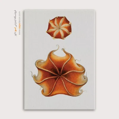 تابلو جانوران دریایی - اسپو دکور