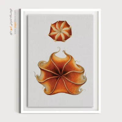 تابلو جانوران دریایی - اسپو دکور